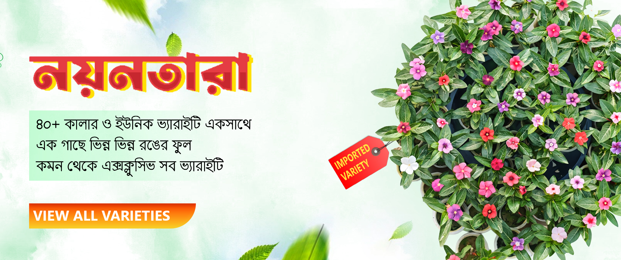 Banner copy